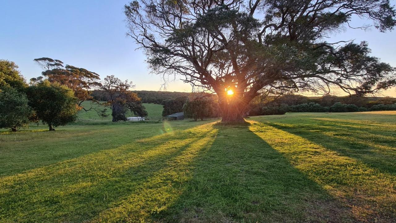 Karriview Margaret River Villa Exterior photo